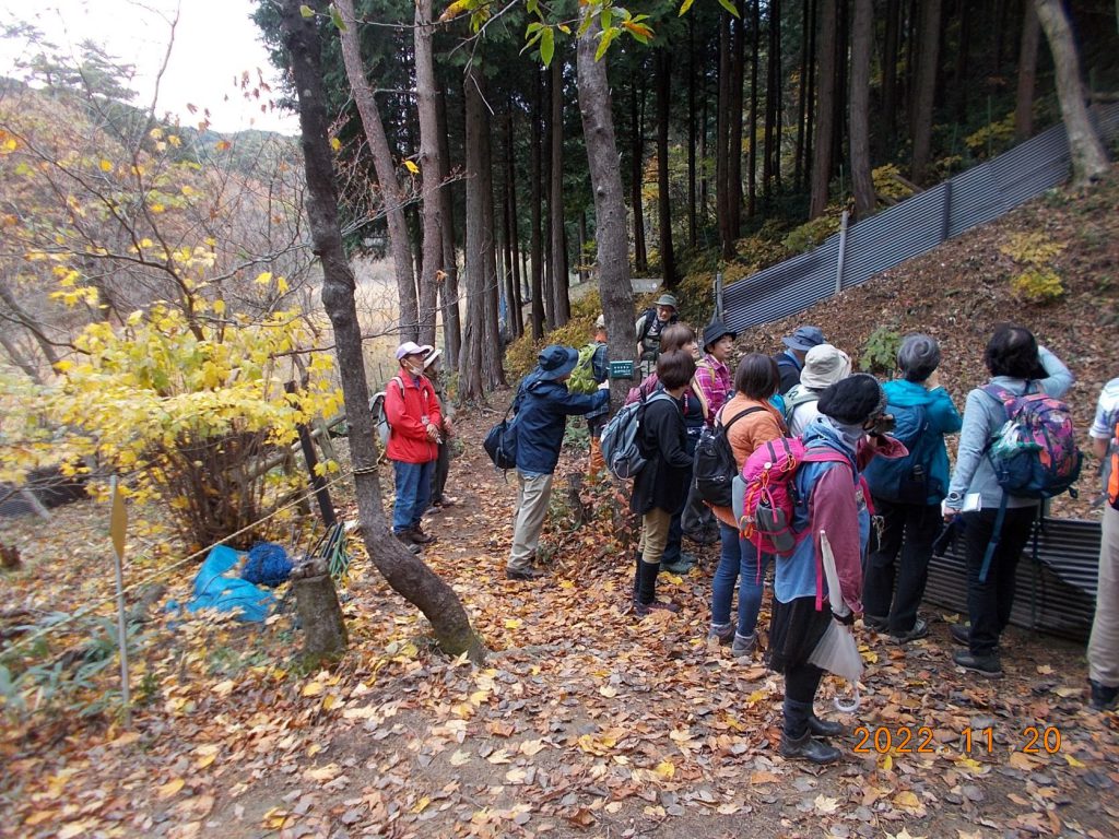 11月20日(日)奥びわ湖ハイキング 「生物多様性の山門水源の森へ」を実施しました | 奥びわ湖観光ボランティアガイド協会