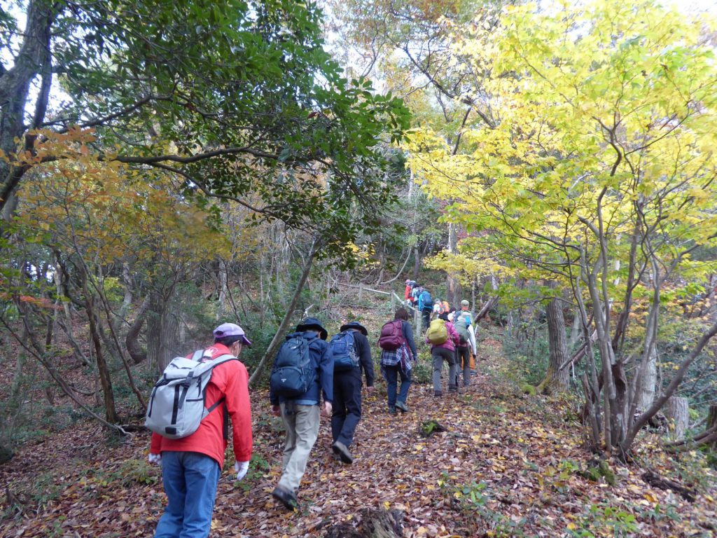 11月20日(日)奥びわ湖ハイキング 「生物多様性の山門水源の森へ」を実施しました | 奥びわ湖観光ボランティアガイド協会