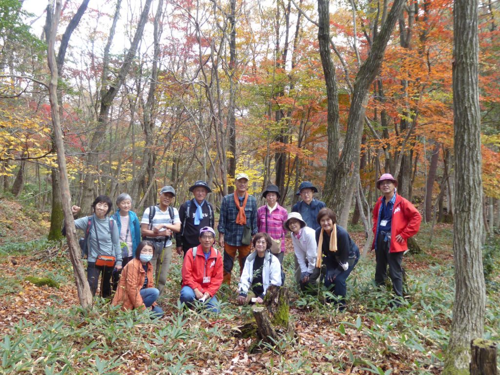 11月20日(日)奥びわ湖ハイキング 「生物多様性の山門水源の森へ」を実施しました | 奥びわ湖観光ボランティアガイド協会